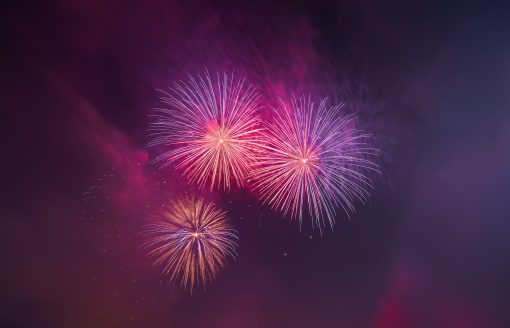 Nieuwjaarsreceptie / ALV