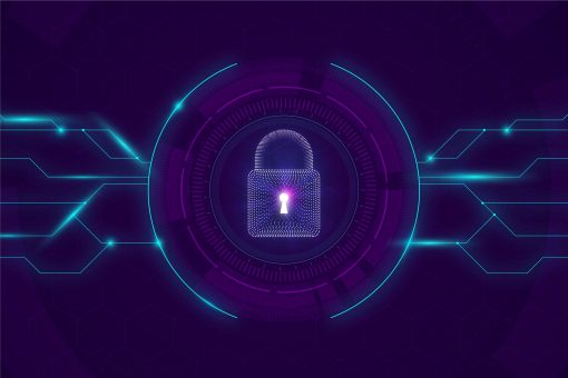 Security, privacy & legal issues; de digitale zaakjes op orde?